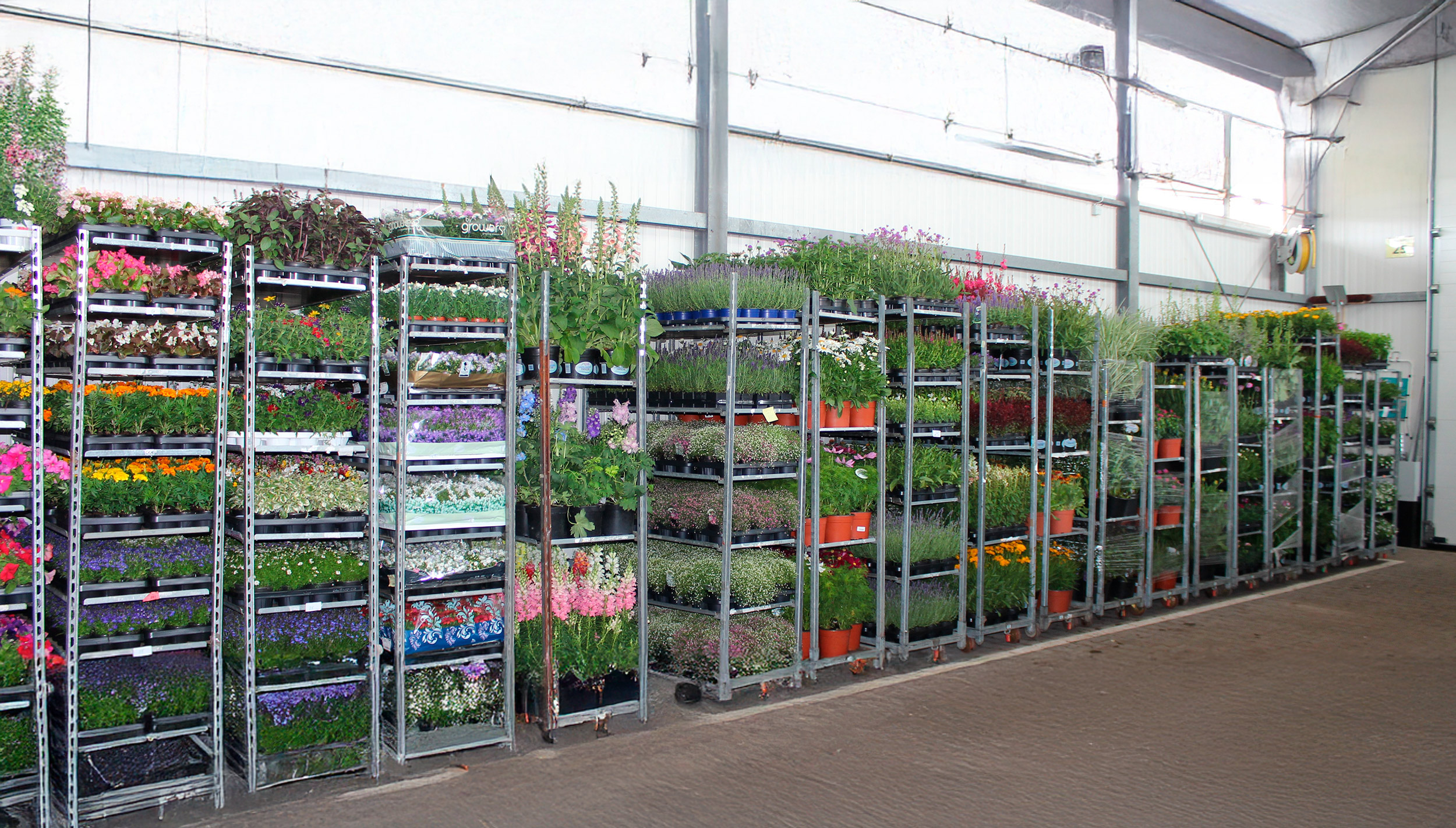 Loest BGH reichhaltiges Blumenangebot