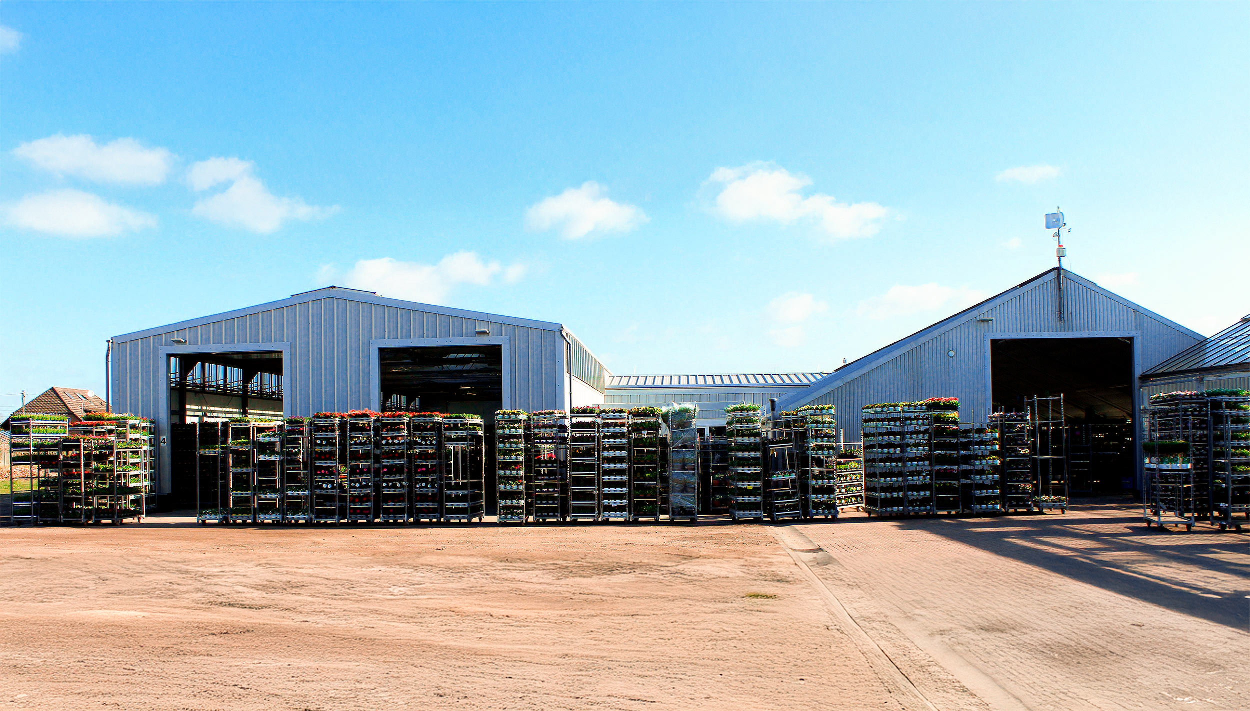 Blumenhalle von Loest BGH